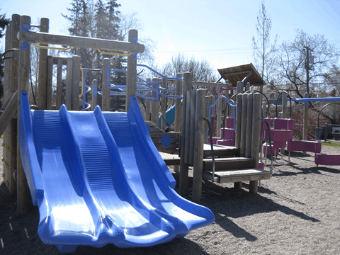 riley park pool