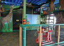 Kids Play All Day