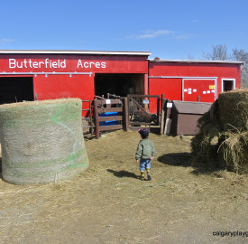 Butterfield Acres