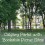 Calgary Parks with bookable picnic sites