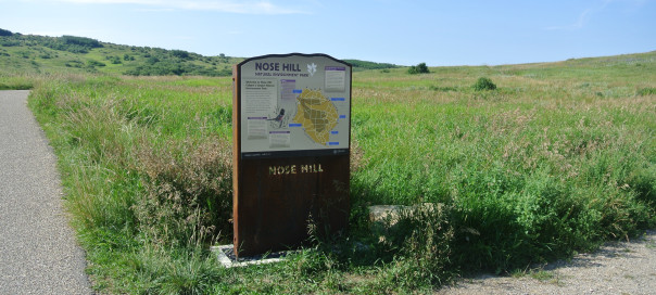 Nose Hill Park