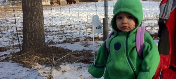Calgary Zoo - Fully Reopened
