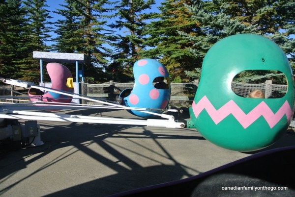 calaway park bumper cars