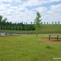 Elliston Park