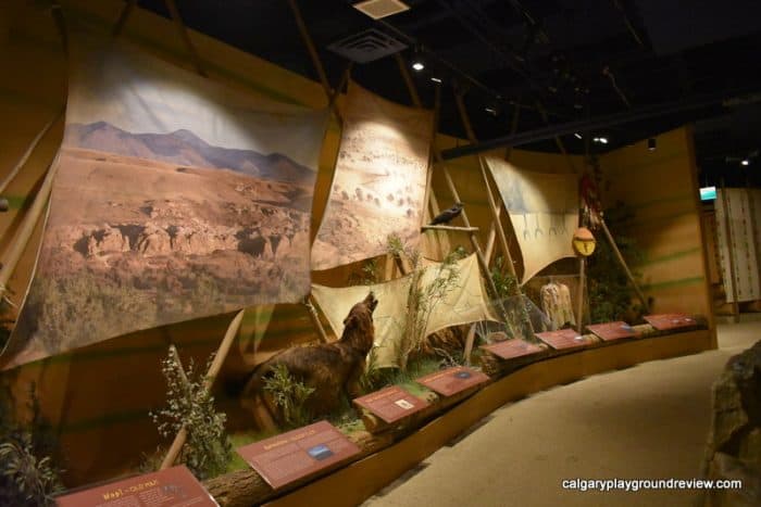 Glenbow - Niitsitapiisini: Our Way of Life (The Blackfoot Gallery)