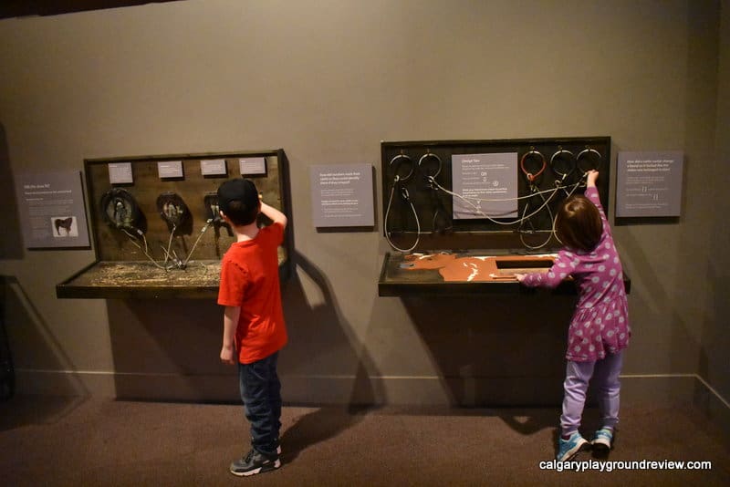 Glenbow Museum with Kids - calgaryplaygroundreview.com