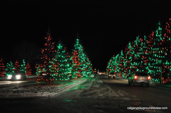 Trees at Spruce Meadows - Calgary's best Christmas Light Displays