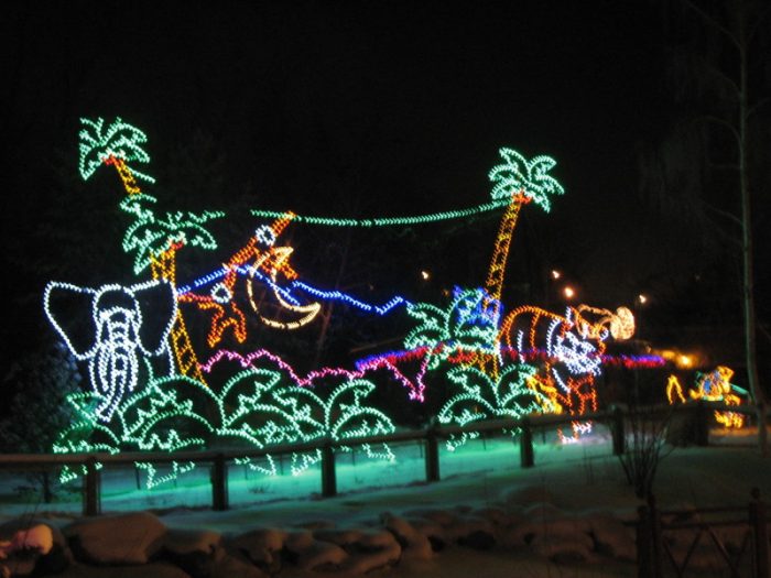 Zoolights