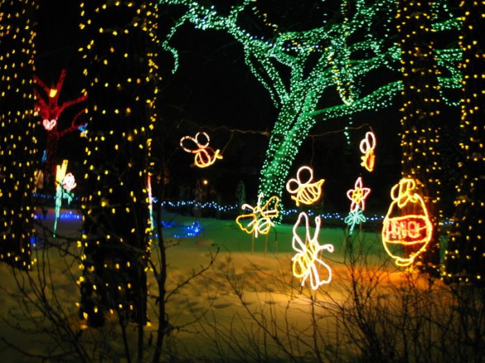 Zoolights - bees- Calgary's best light displays