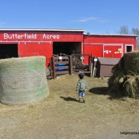 Butterfield Acres