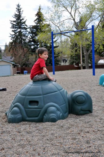 Chapel Park - Turtle Playground