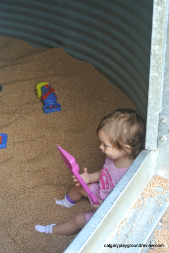 Wheat inside a silo