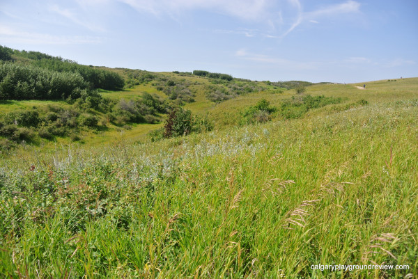 Nose Hill Park