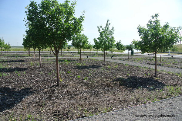 Ralph Klein Park