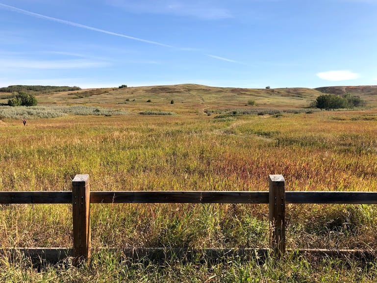 Nose Hill Park in Northwest Calgary - Tours and Activities