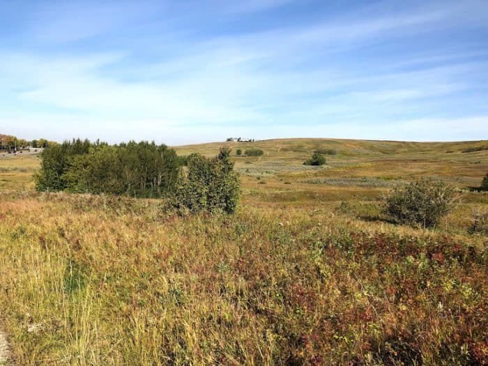 Nose Hill Park in Northwest Calgary - Tours and Activities