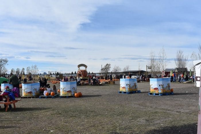 Pumpkin bins