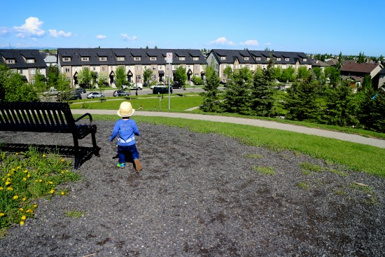 Elgin Ruins Park 