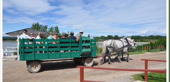 Annual Pass Gift Guide - Calgary, Alberta - Attractions - calgaryplaygroundreview.com