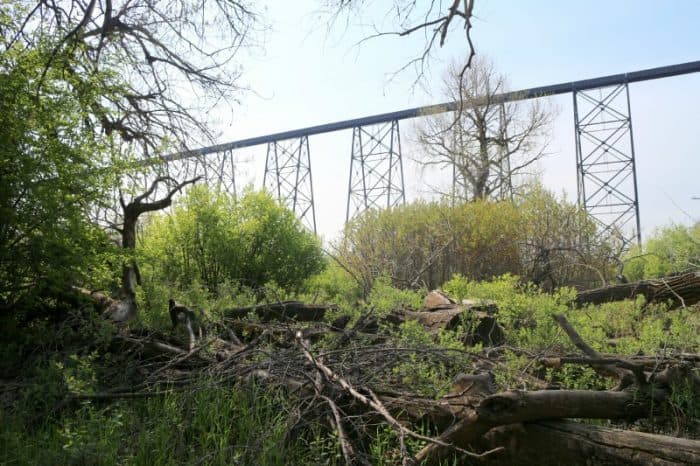 Helen Schuler Park - #albertastaycation - calgaryplaygroundreview.com