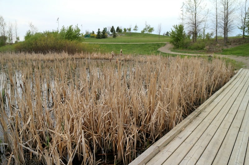 SunRidge Park Playground Lethbridge