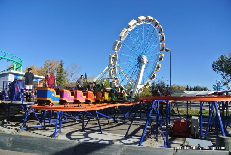 calaway park bumper cars