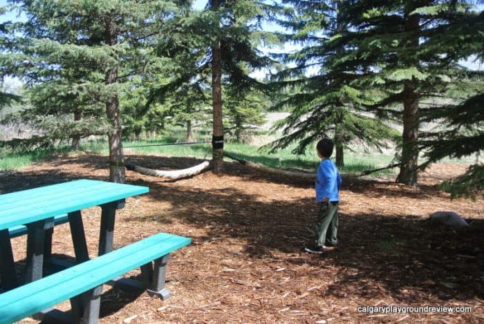 Kerry Wood Nature Centre and Natural Playground - Red Deer