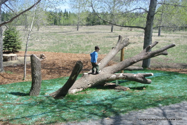 Kerry Wood Nature Centre and Natural Playground - Red Deer