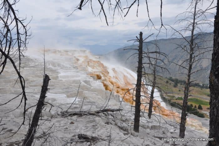 Mammoth Terraces - Yellowstone National Park