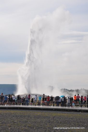 Old Faithful Yellowstone National Park 