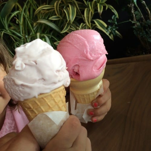 Village Ice Cream - In Search of Calgary's Best Ice Cream