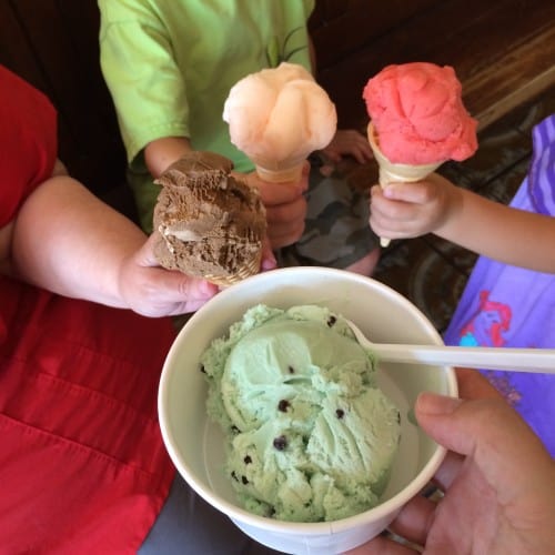 My Favourite Ice Cream Shoppe - In Search of Calgary's Best Ice Cream