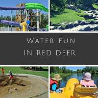 Red Deer Water Fun