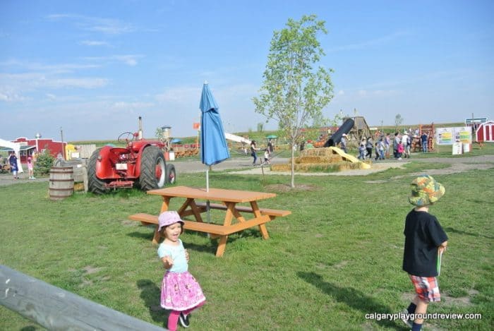 View of some of the activities at the Calgary Farmyard