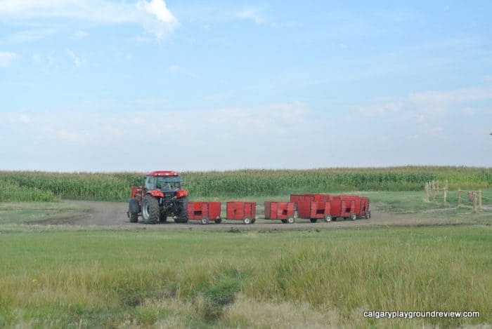 Grain train - tractor pulled wagon 