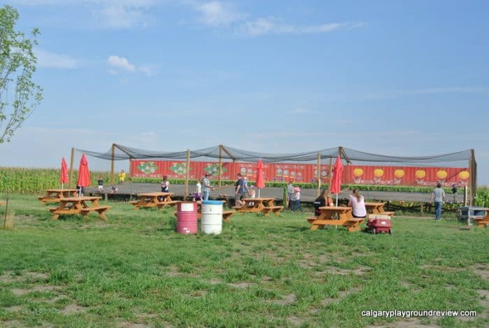 Ball toss and picnic tables