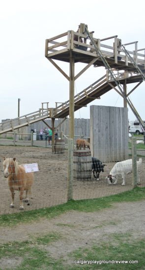 Petting zoo at the Calgary Farmyard