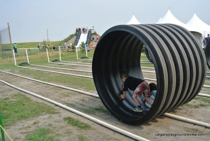 Rat rollers with kids inside