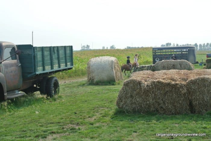 Pony rides at the Calgary Farmyard