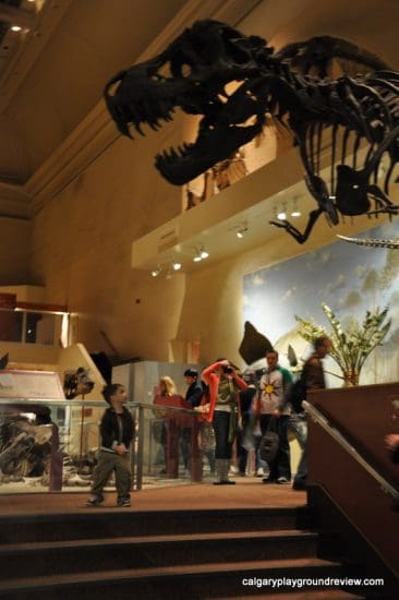 Smithsonian Museum of Natural History - Washington, DC