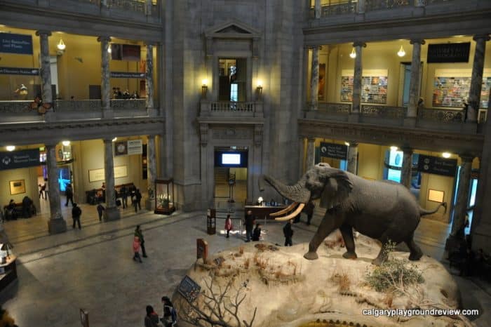 Smithsonian Museum of Natural History - Washington, DC