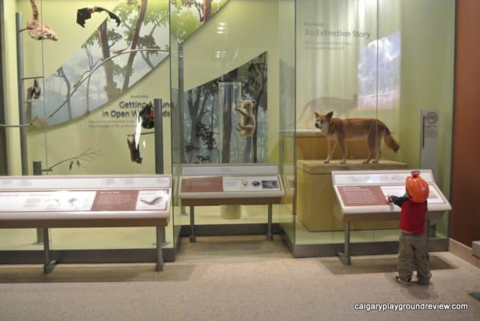 Smithsonian Museum of Natural History - Washington, DC