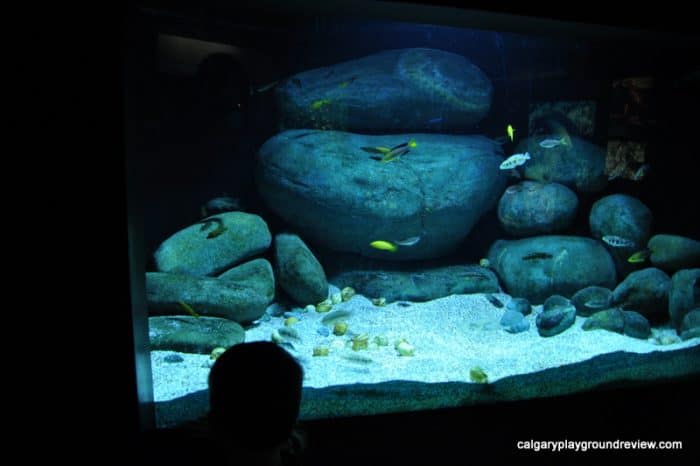 Baltimore Aquarium 