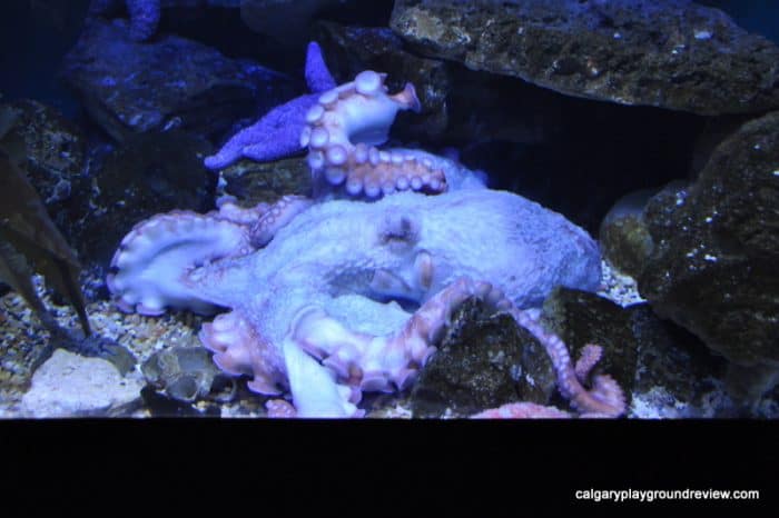 Baltimore Aquarium 