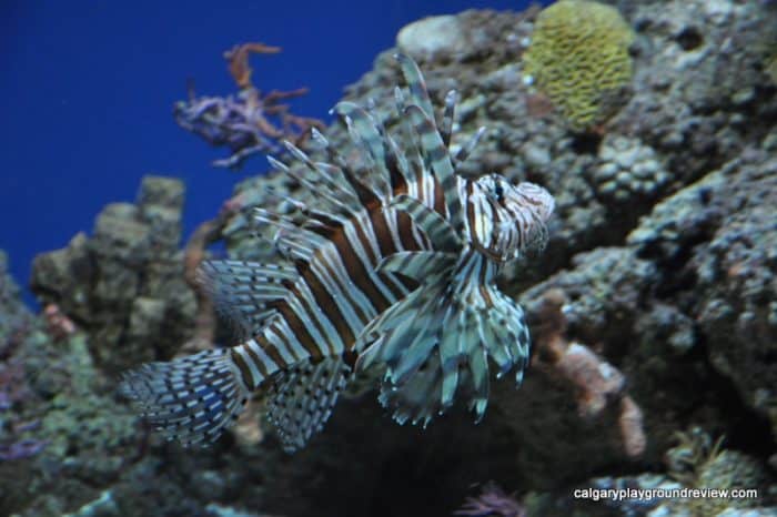 Baltimore Aquarium 