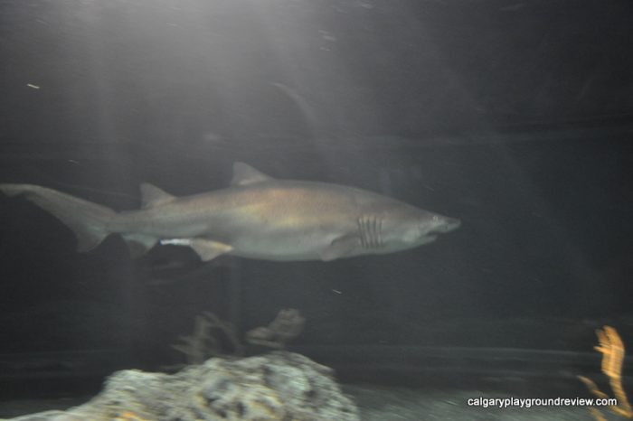 Baltimore Aquarium 