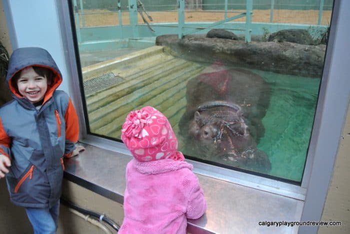 Calgary Zoo