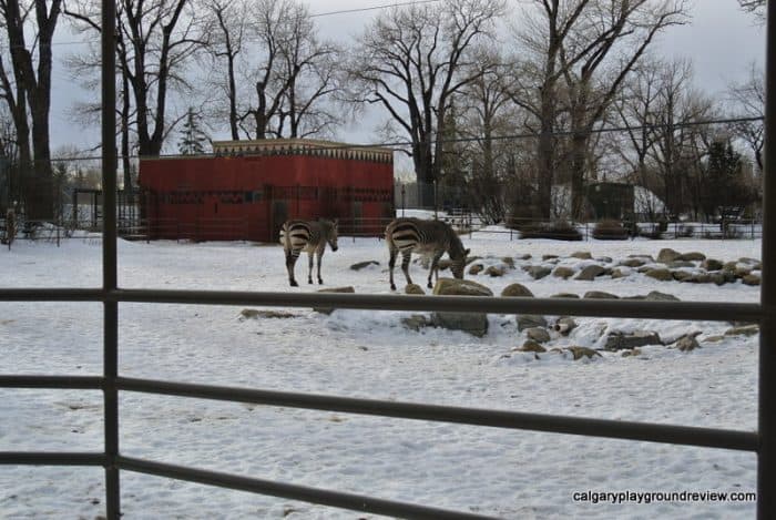 Calgary Zoo