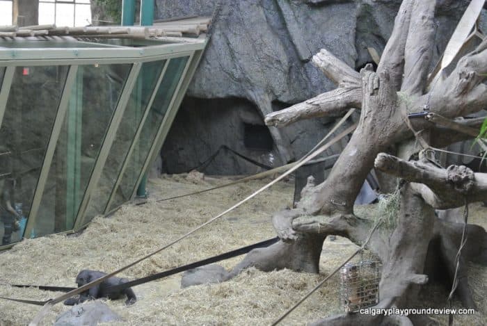 Calgary Zoo