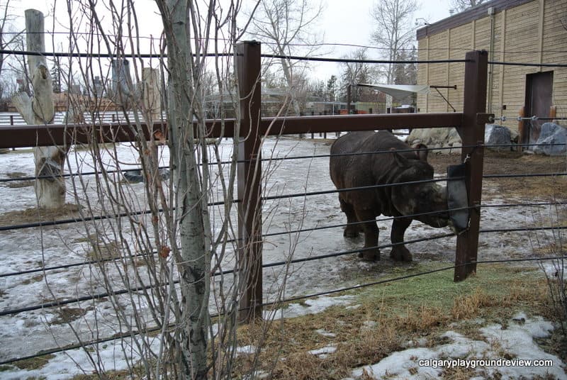 Calgary Zoo